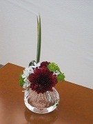 20130124@ԁi_Aj.JPG