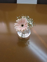 20130131@ԁiK[xj.JPG